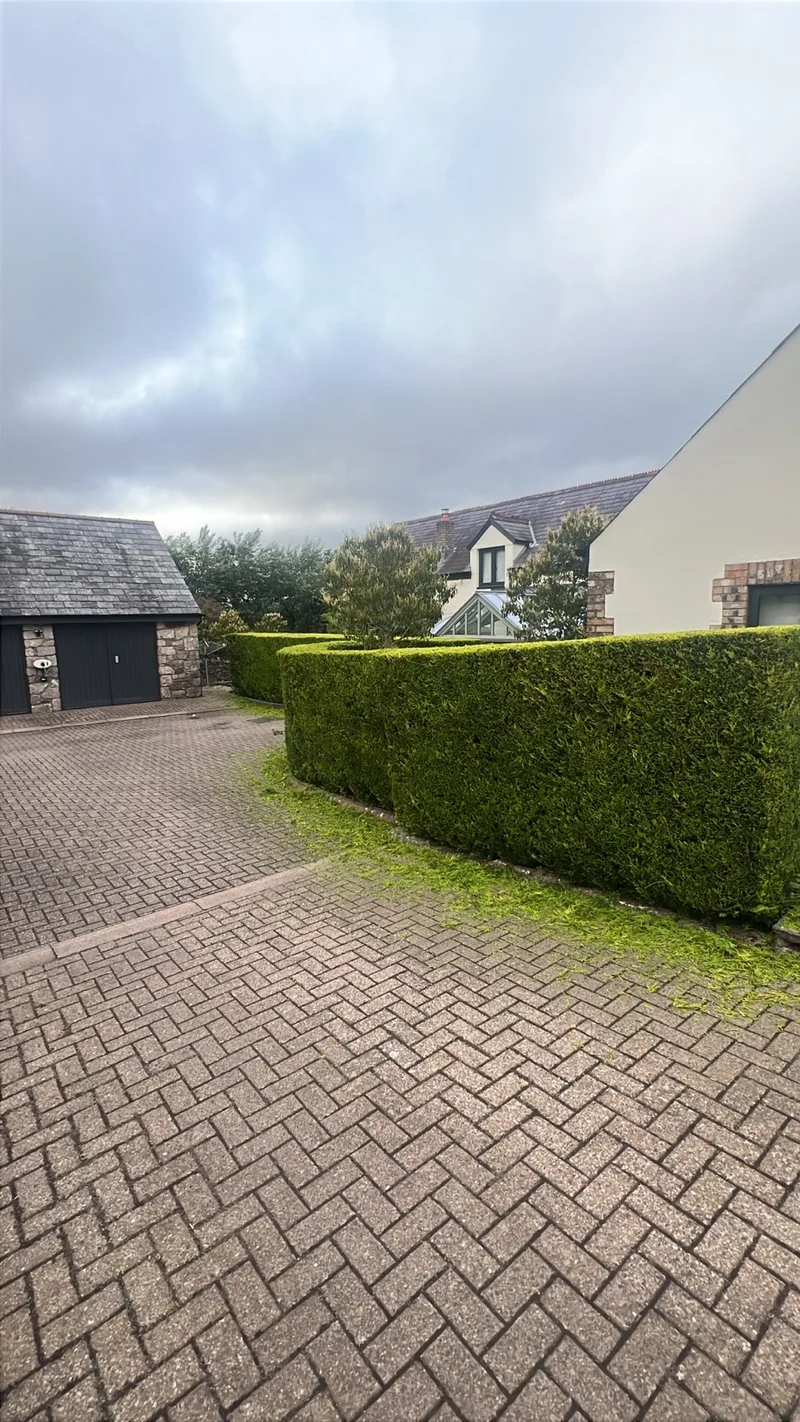 Tree and hedge work in progress