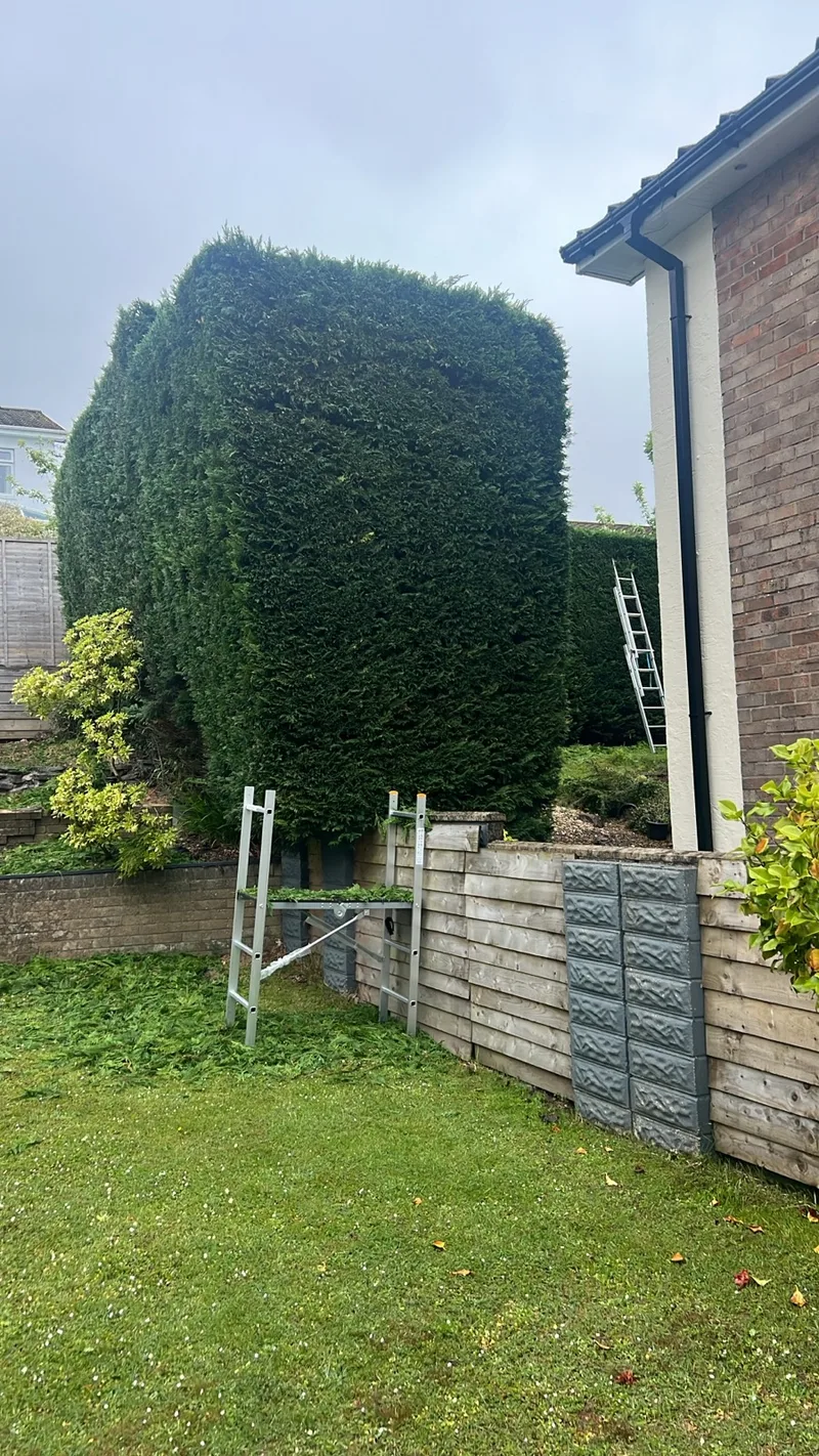 Hedge shaping