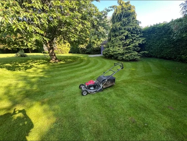 Lawn maintenance