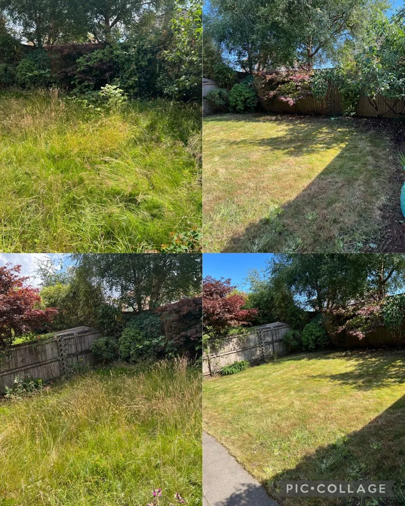 Vegetation clearance