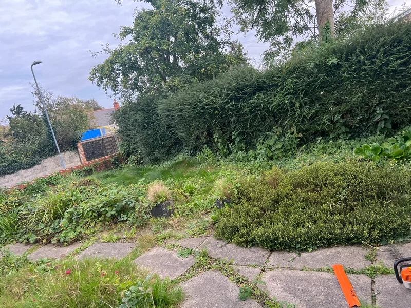 Dense growth clearance